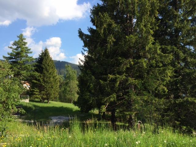 Park Hotel Miramonti Folgaria Luaran gambar